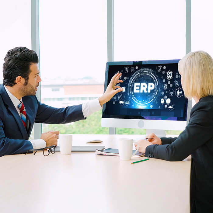 ERP Danışmanlık